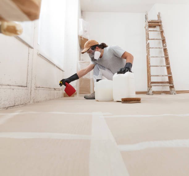 Dehumidification Services in Lackland Af, TX